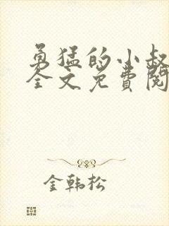 勇猛的小叔小说全文免费阅读封面