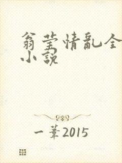 翁莹情乱全部篇小说封面