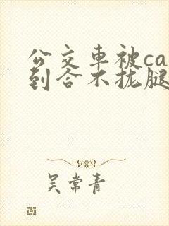 公交车被cao到合不拢腿视频