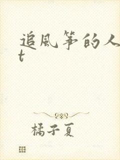 追风筝的人txt