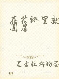 在花轿里就开始圆房封面