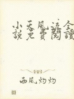 小天风流全集小说免费阅读封面