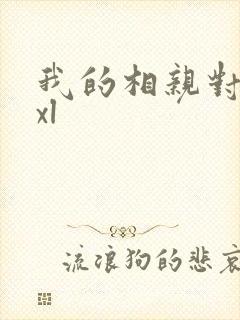 我的相亲对象是xl