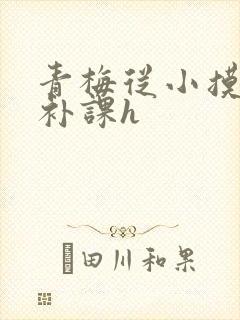 青梅从小摸到大补课h