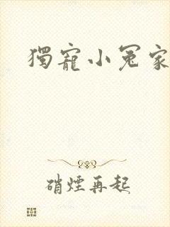 独宠小冤家封面