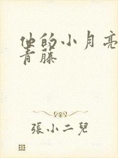 他的小月亮by青藤封面