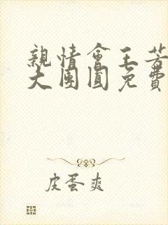 亲情会王芳高敏大团圆免费阅读