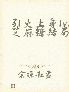 引火上身1v1芝麻糖结局封面