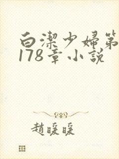 白洁少妇第1一178章小说封面