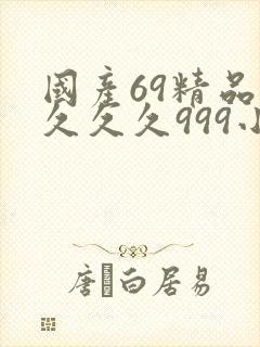 国产69精品久久久久999小说