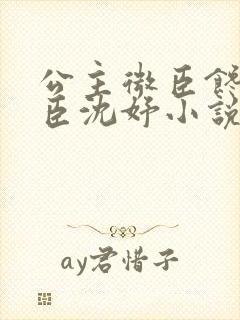 公主微臣馋了微臣沈妤小说