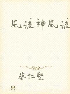 风流神风流记封面