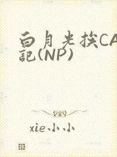 白月光挨CAO记(NP)