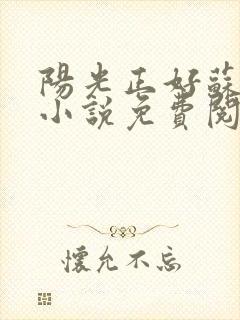 阳光正好苏玥玥小说免费阅读无弹窗