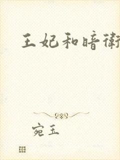 王妃和暗卫野H