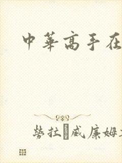 中华高手在异世