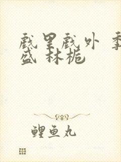 戏里戏外 季淮盛 林栀封面