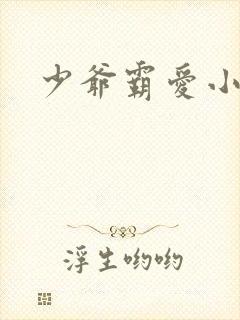 少爷霸爱小丫头