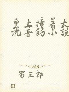皇上撞着太子妃沈音的小说叫什么封面