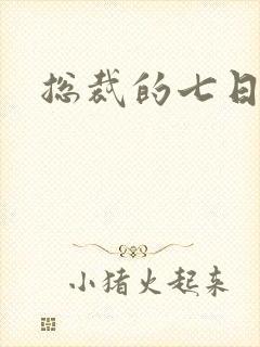 总裁的七日恋人