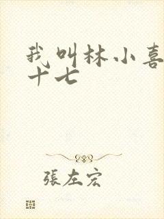 我叫林小喜今年十七