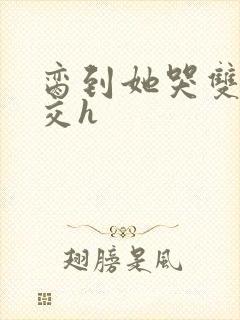 脔到她哭双根宫交h