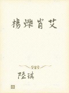 杨烁肖艾