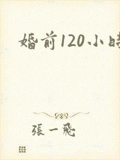 婚前120小时封面