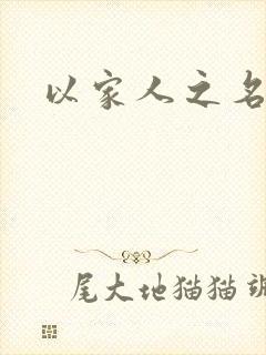 以家人之名小说