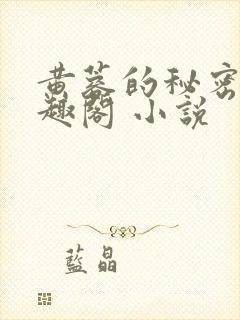 黄蓉的秘密 笔趣阁 小说封面