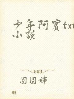 少年阿宾txt小说