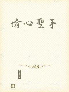 偷心圣手