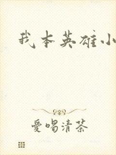 我本英雄小说