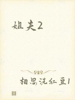 姐夫2