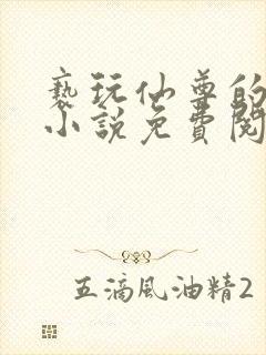 亵玩仙尊的道侣小说免费阅读