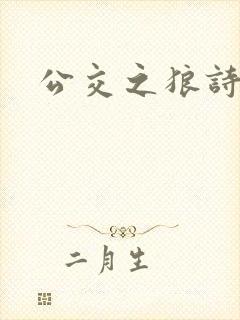 公交之狼诗晴封面