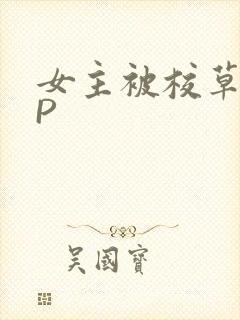 女主被校草们NP