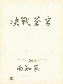 决战苍穹封面