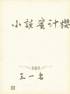 小说蜜汁樱桃封面