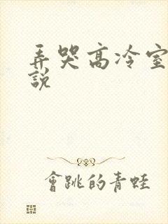 弄哭高冷室友小说