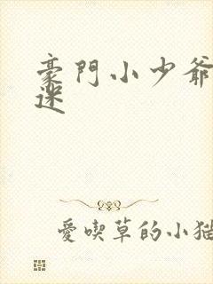 豪门小少爷是财迷