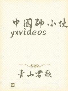 中国帅小伙gayxvideos