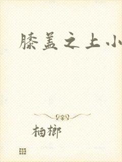 膝盖之上小说