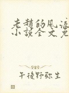 老赵的风流人生小说全文免费阅读