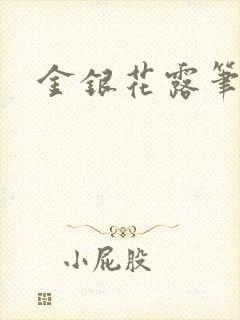 金银花露笔趣阁