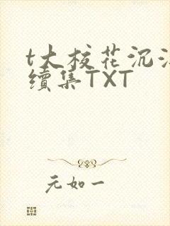 t大校花沉浮录续集TXT