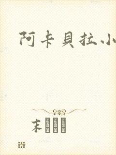 阿卡贝拉小说封面