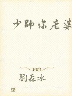 少帅你老婆
