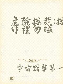 危险总裁:总裁非礼勿碰封面