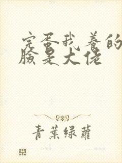 完蛋我养的小白脸是大佬